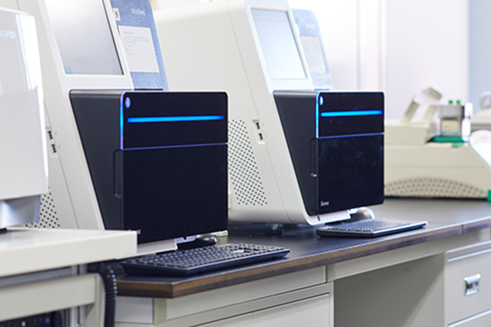 DNA친자검사의결과