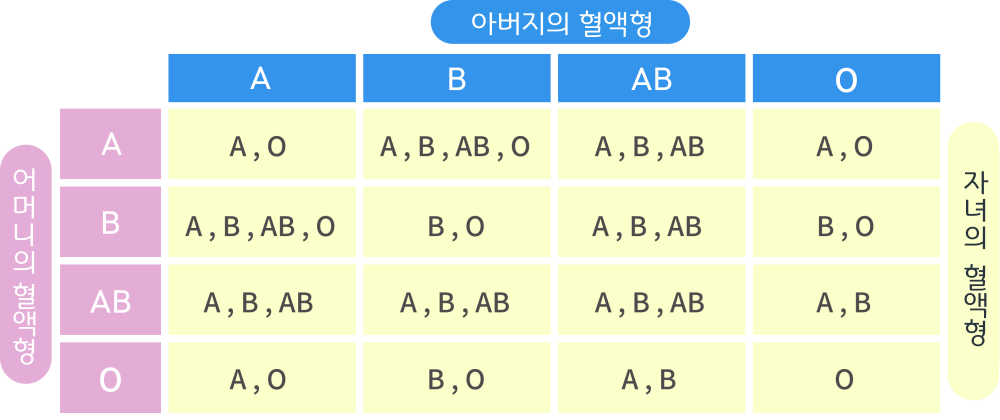 부모의 혈액형과 자녀의 혈액형 조합