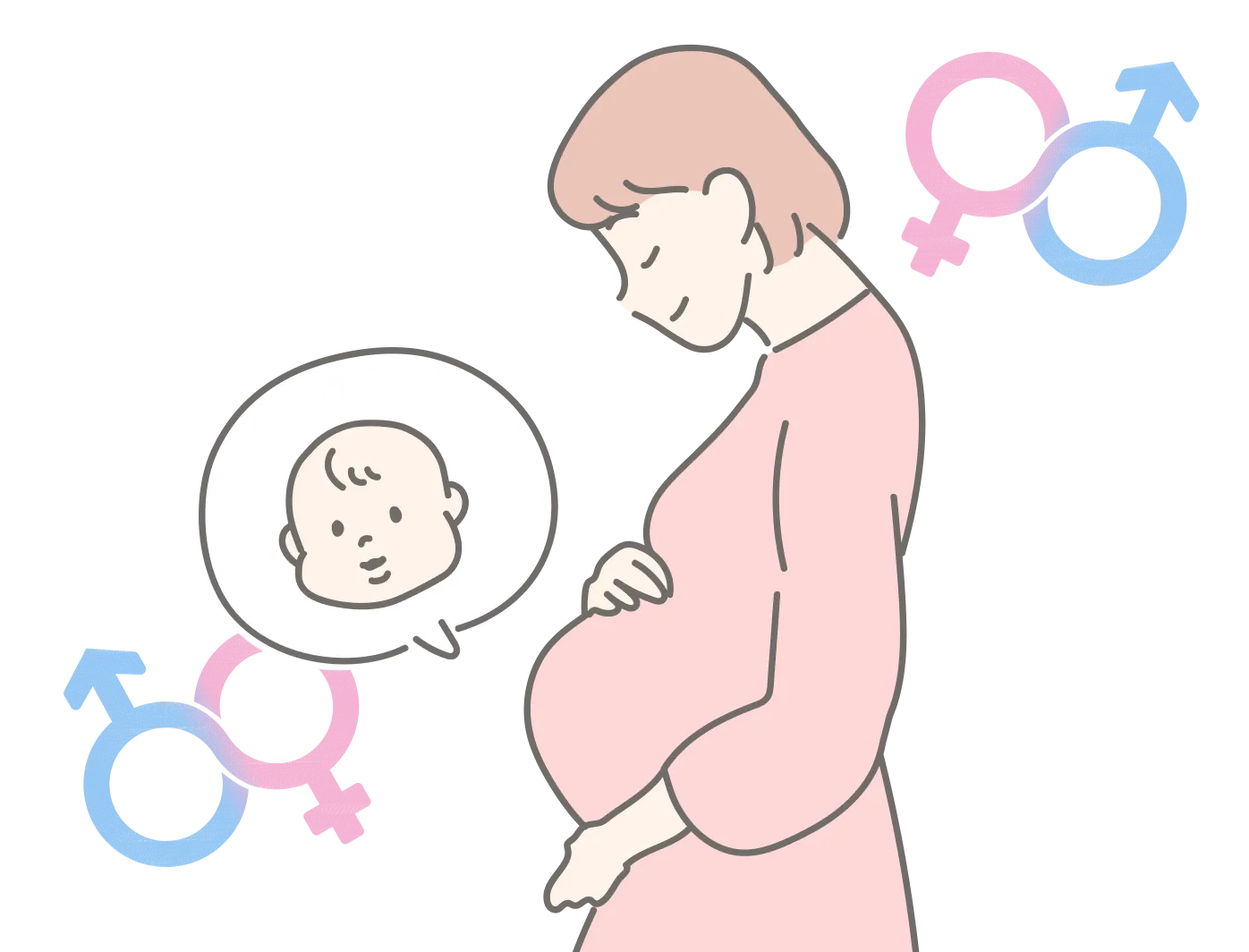 seeDNAの出生前親子DNA鑑定では、性別検査が無料