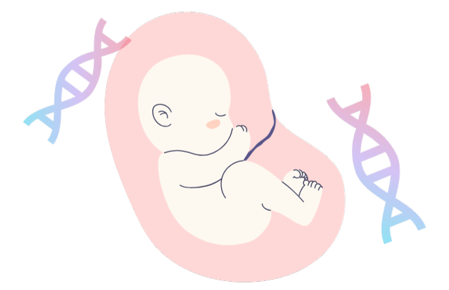 seeDNAの出生前親子DNA鑑定では、今だけ疾患リスク検査（NIPT）が無料